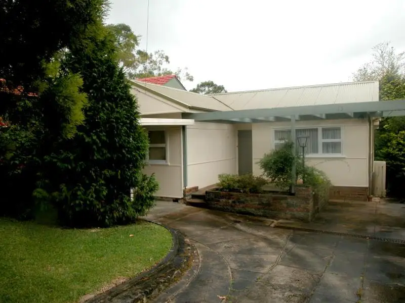 15 Lobelia Street, Chatswood Sold by Shead Property - image 1