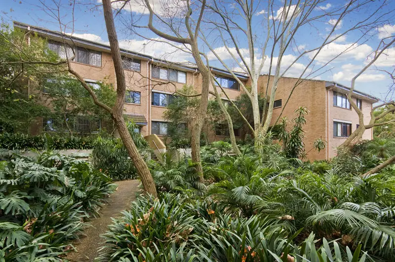37/2 Rodborough Avenue, Crows Nest Sold by Shead Property - image 1