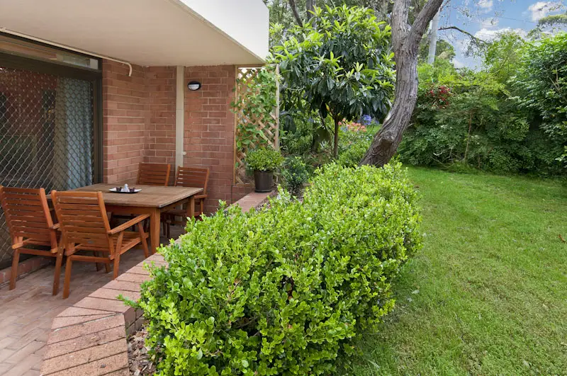 9/11 View Street, Chatswood Sold by Shead Property - image 1