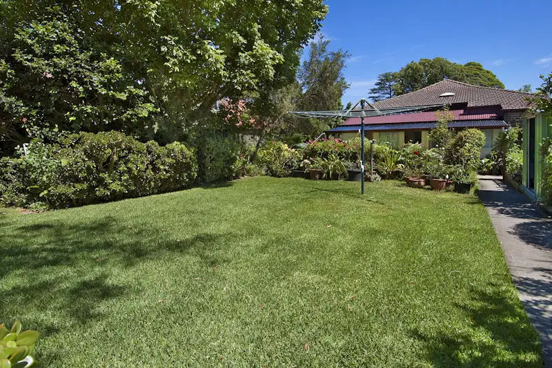 22 Waratah Street, Roseville Sold by Shead Property - image 1