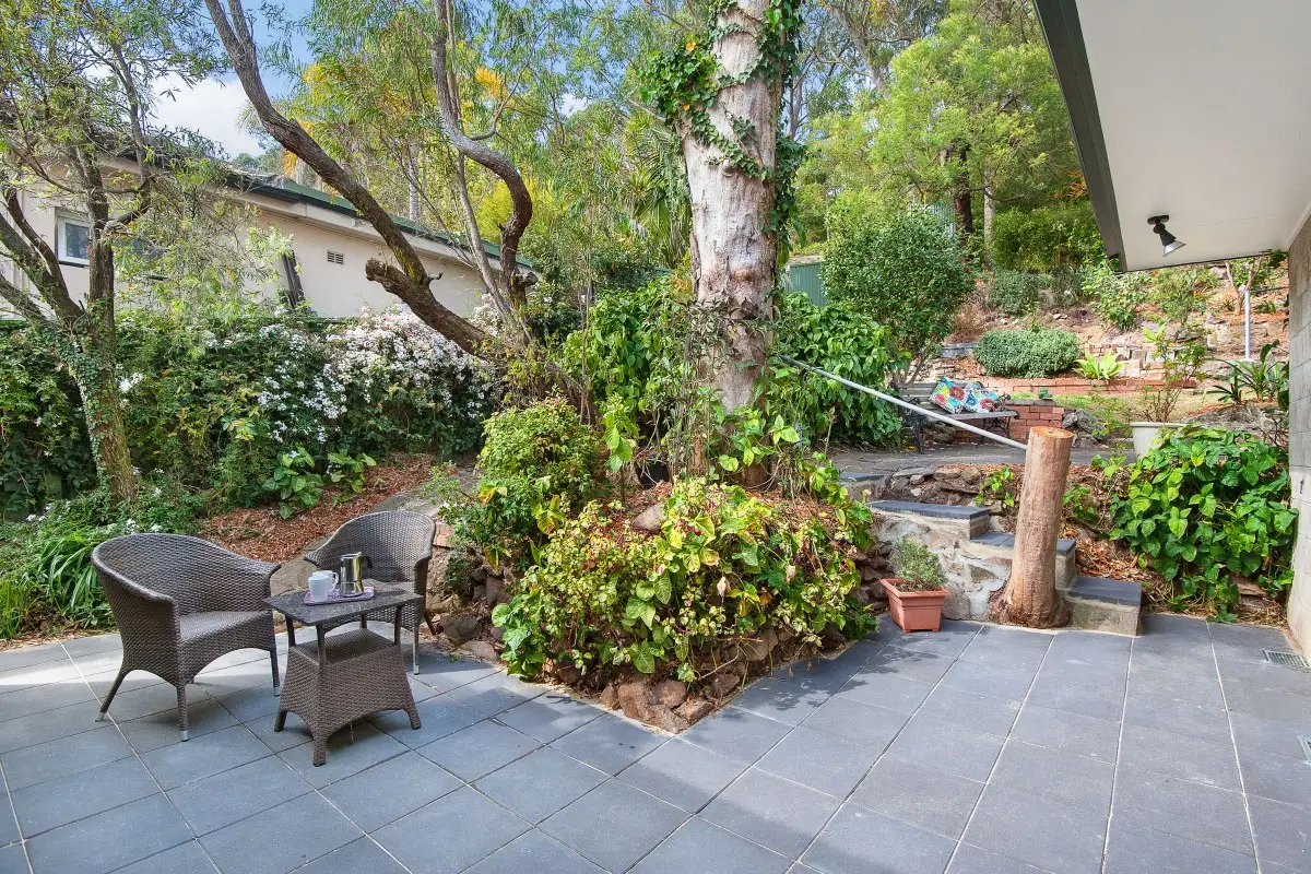 124 Millwood Avenue, Chatswood Sold by Shead Property - image 1