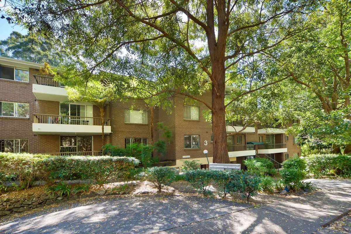 11/3 Francis Road, Artarmon Sold by Shead Property - image 1