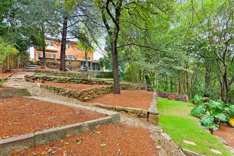 59 Findlay Avenue, Roseville Sold by Shead Property - image 1