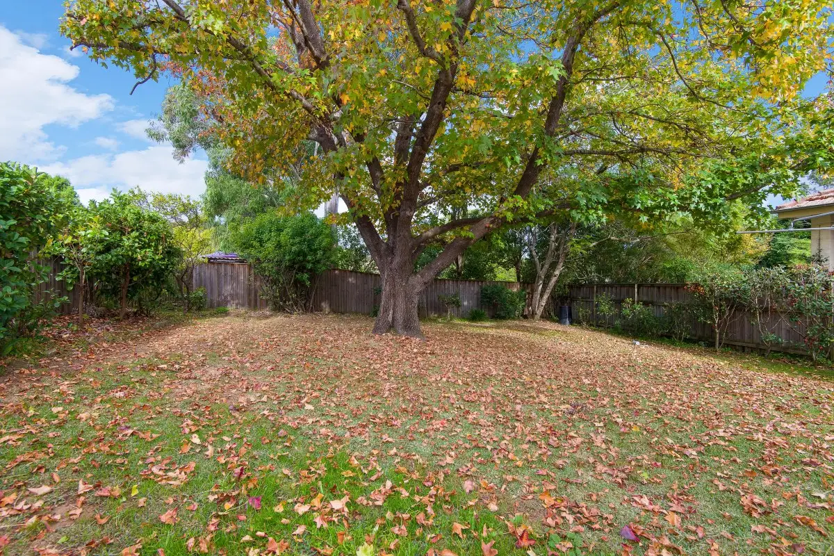 1 Bellevue Street, Chatswood Sold by Shead Property - image 1