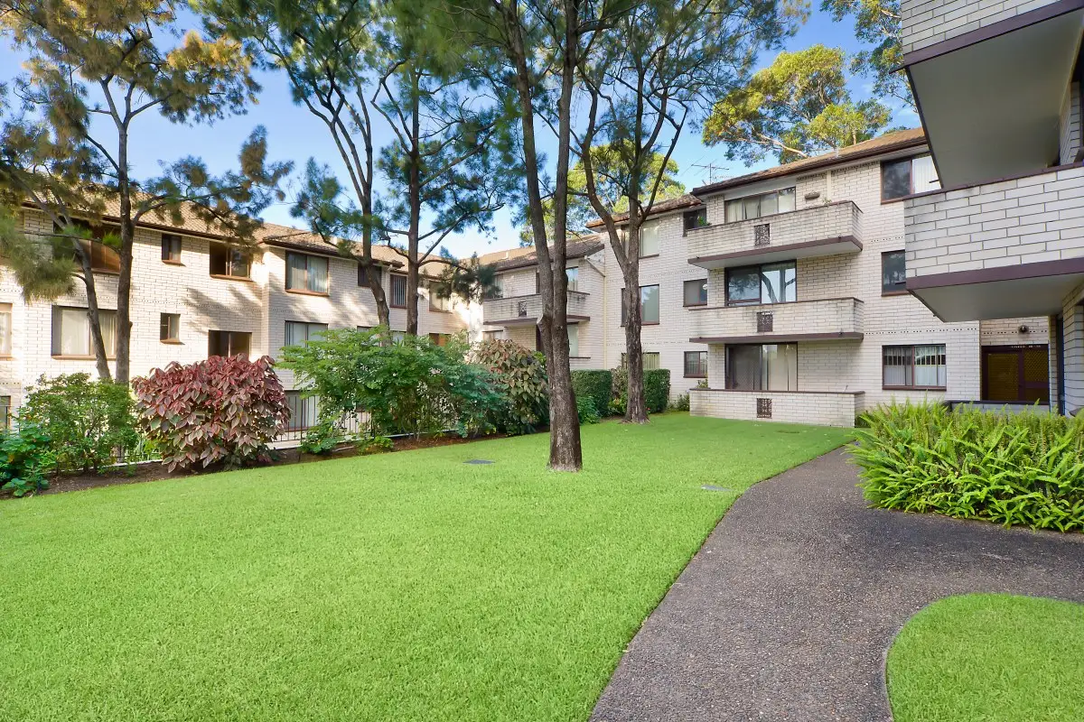 23/2 Jersey Road, Artarmon Sold by Shead Property - image 1