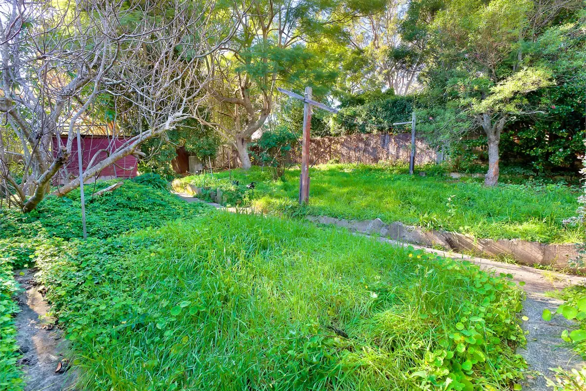 17 Ivy Street, Chatswood Sold by Shead Property - image 1