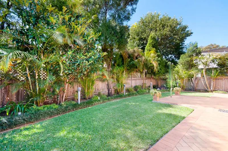 37 Olga Street, Chatswood Sold by Shead Property - image 1