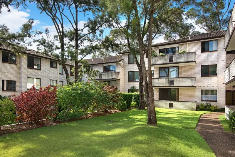 16/2 Jersey Road, Artarmon Sold by Shead Property - image 1