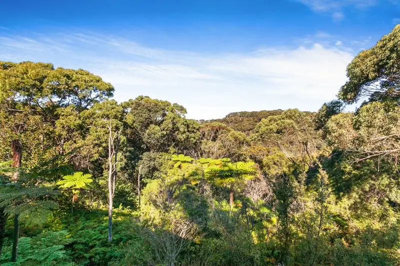 193 Deepwater Road, Castle Cove Sold by Shead Property - image 1
