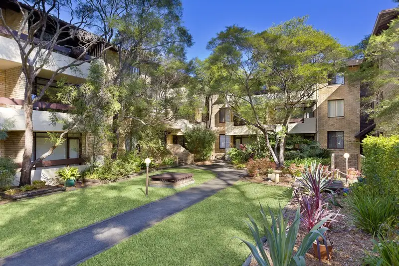 12/6 Buller Road, Artarmon Sold by Shead Property - image 1