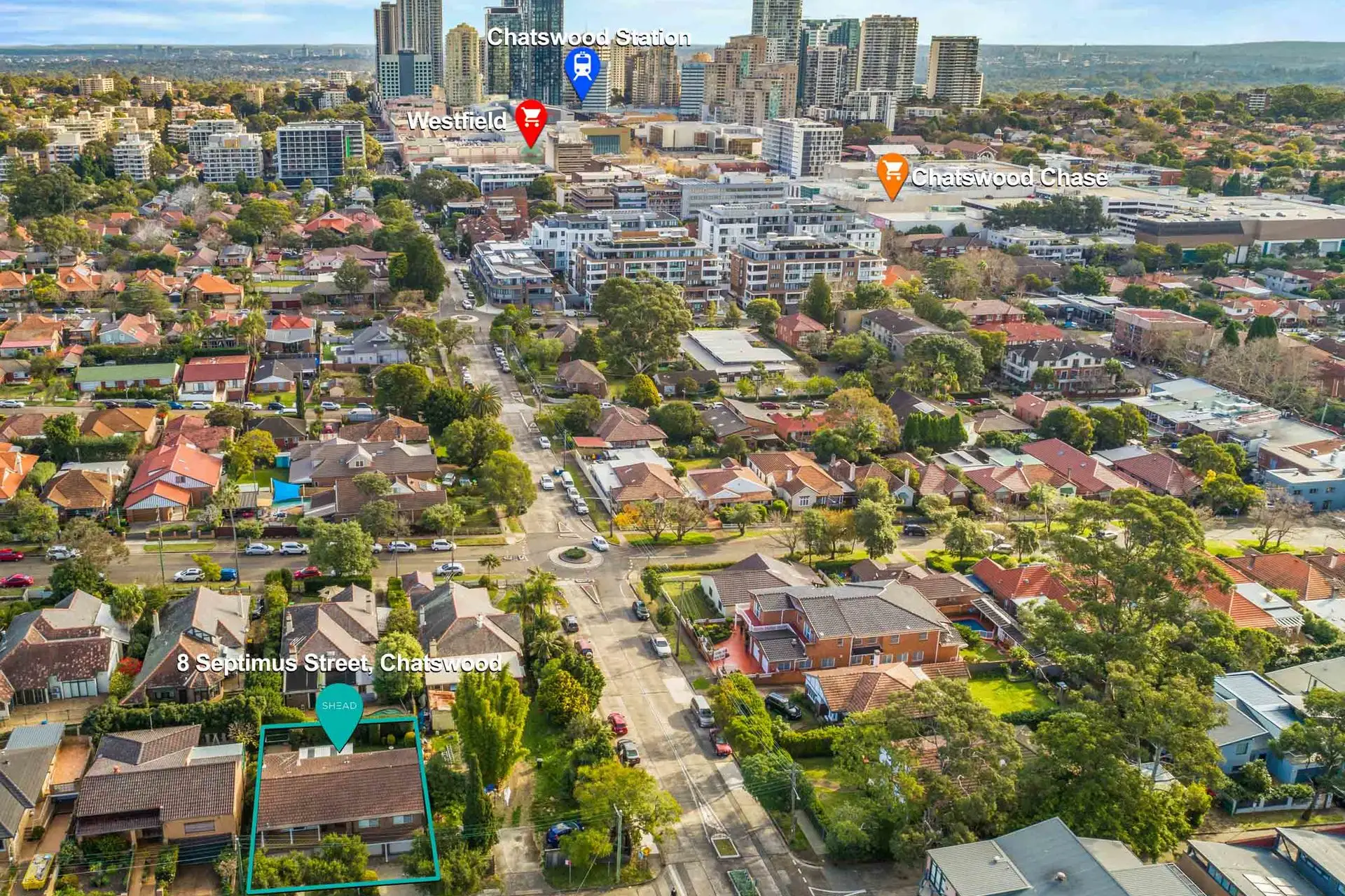 8 Septimus Street, Chatswood Sold by Shead Property - image 1