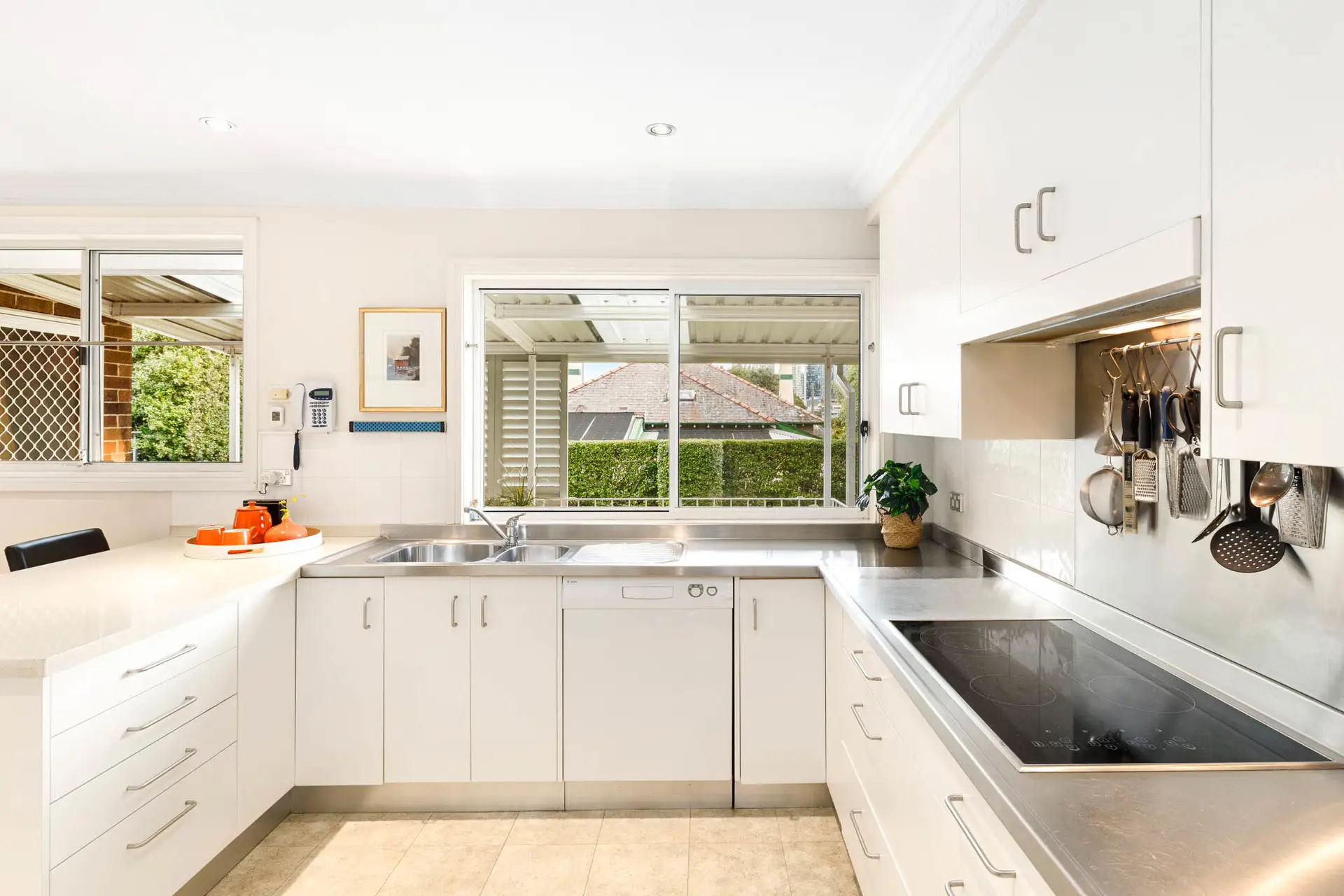 8 Septimus Street, Chatswood Sold by Shead Property - image 1