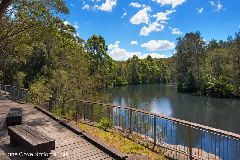 82 Millwood Avenue, Chatswood Sold by Shead Property - image 1