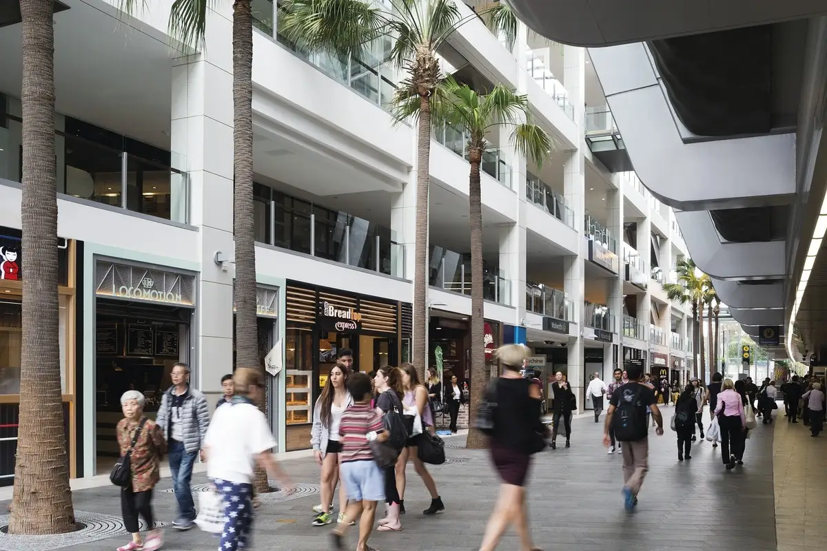 G5102/438 Victoria Avenue, Chatswood Sold by Shead Property - image 1