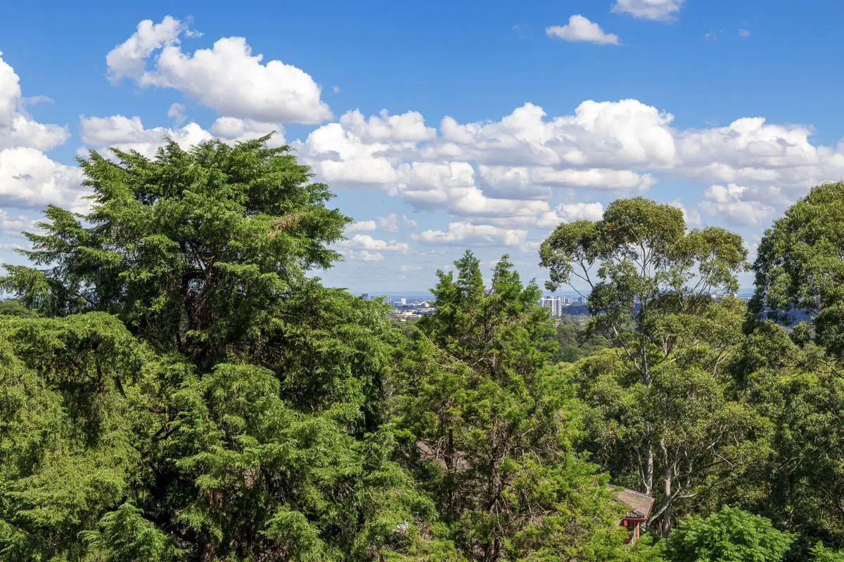 402/856 Pacific Highway, Chatswood Sold by Shead Property - image 1