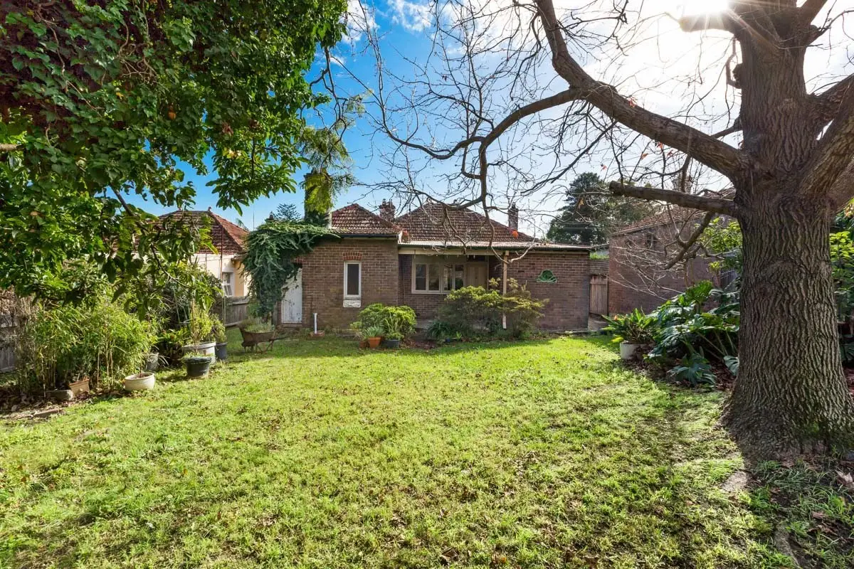30 Johnson Street, Chatswood Sold by Shead Property - image 1