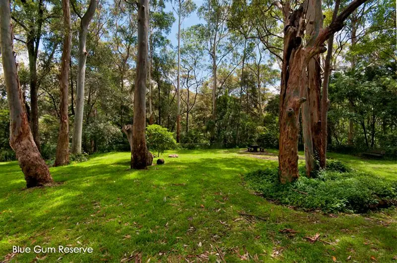 19 Dulwich Road, Chatswood Sold by Shead Property - image 1