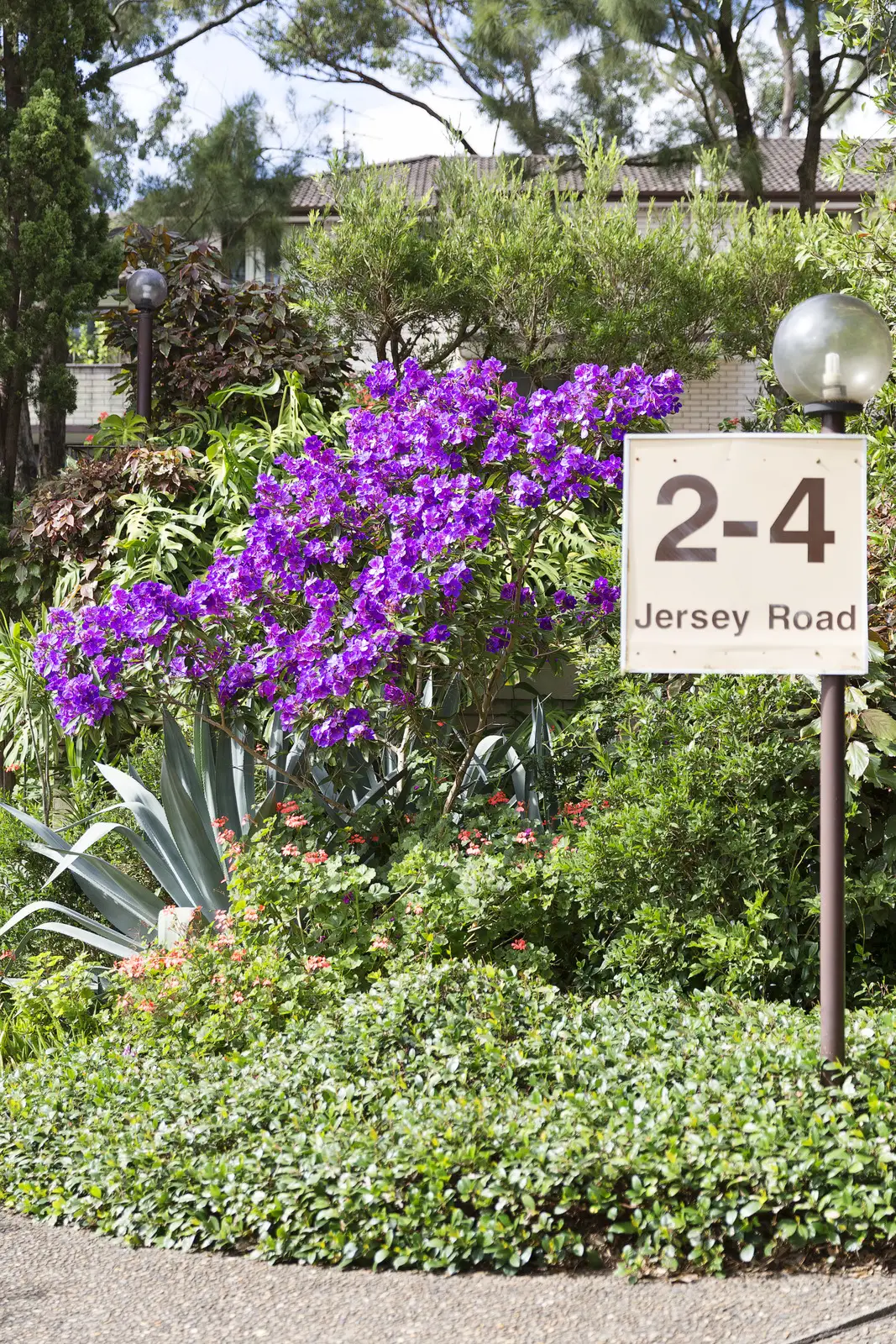 4/2 Jersey Road, Artarmon Sold by Shead Property - image 1