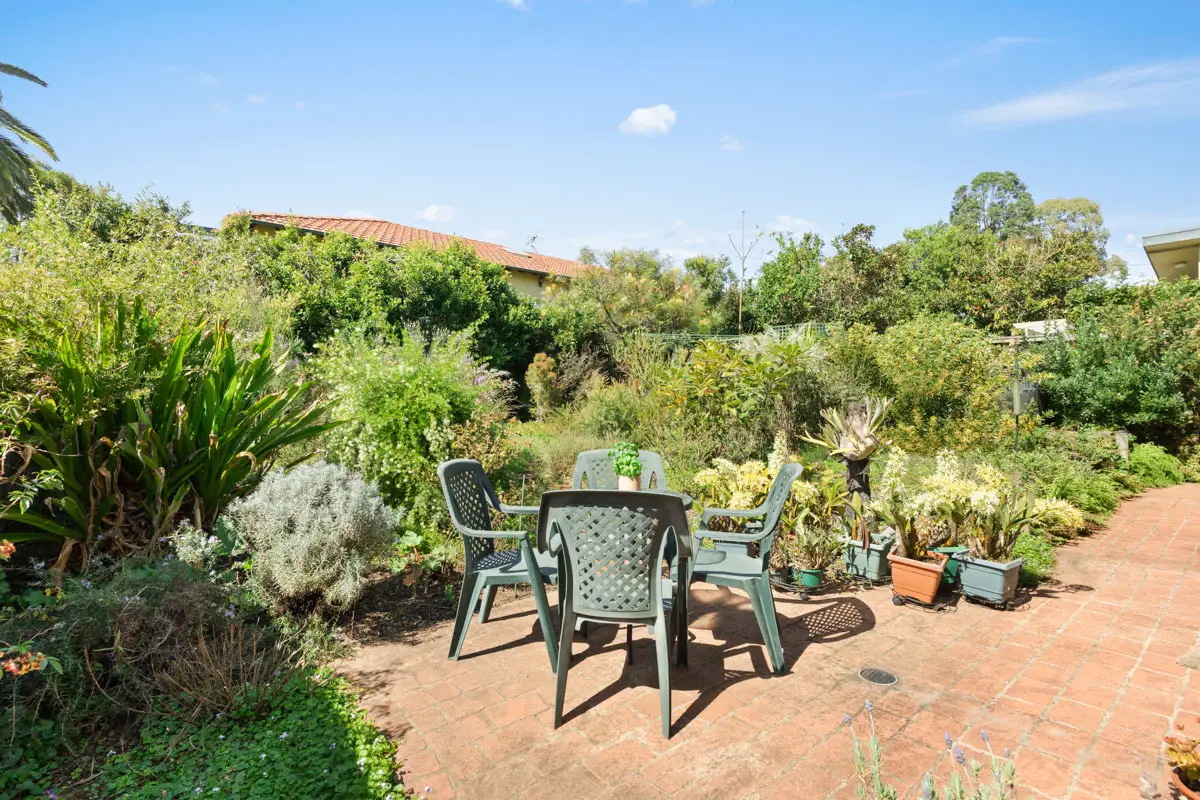 5 Davies Street, Chatswood Sold by Shead Property - image 1