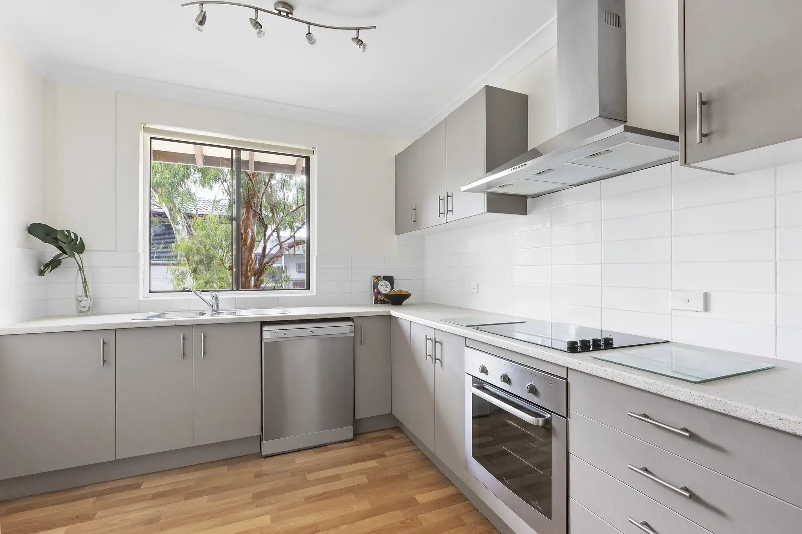 29/6 Buller Road, Artarmon Sold by Shead Property - image 1