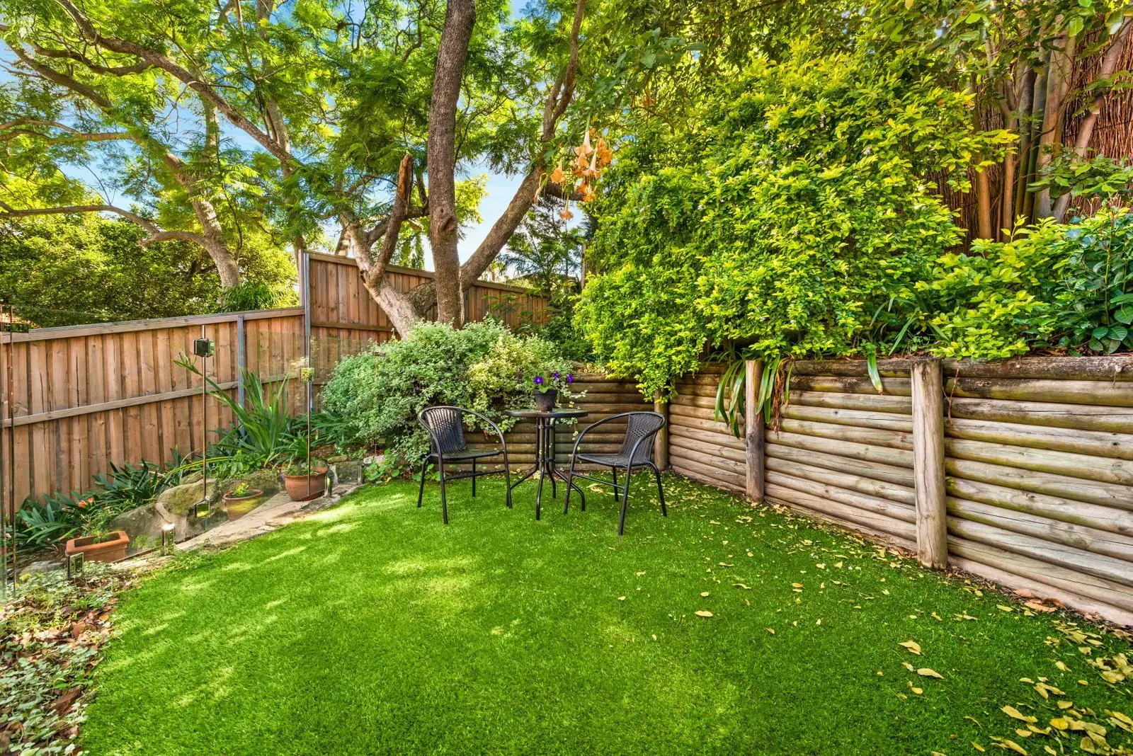 45D Carr Street, Waverton Sold by Shead Property - image 1