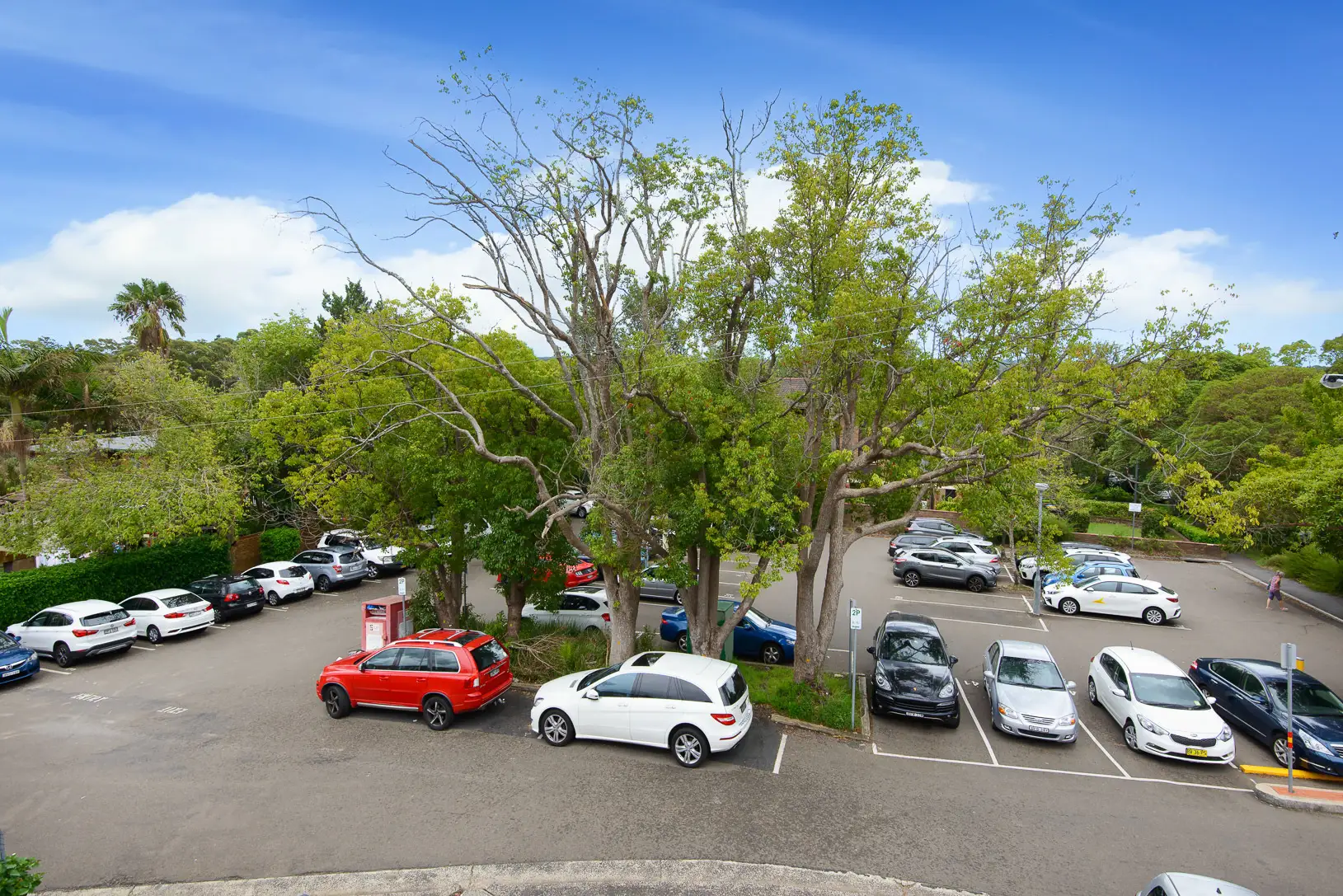 41 Hill Street, Roseville Sold by Shead Property - image 1
