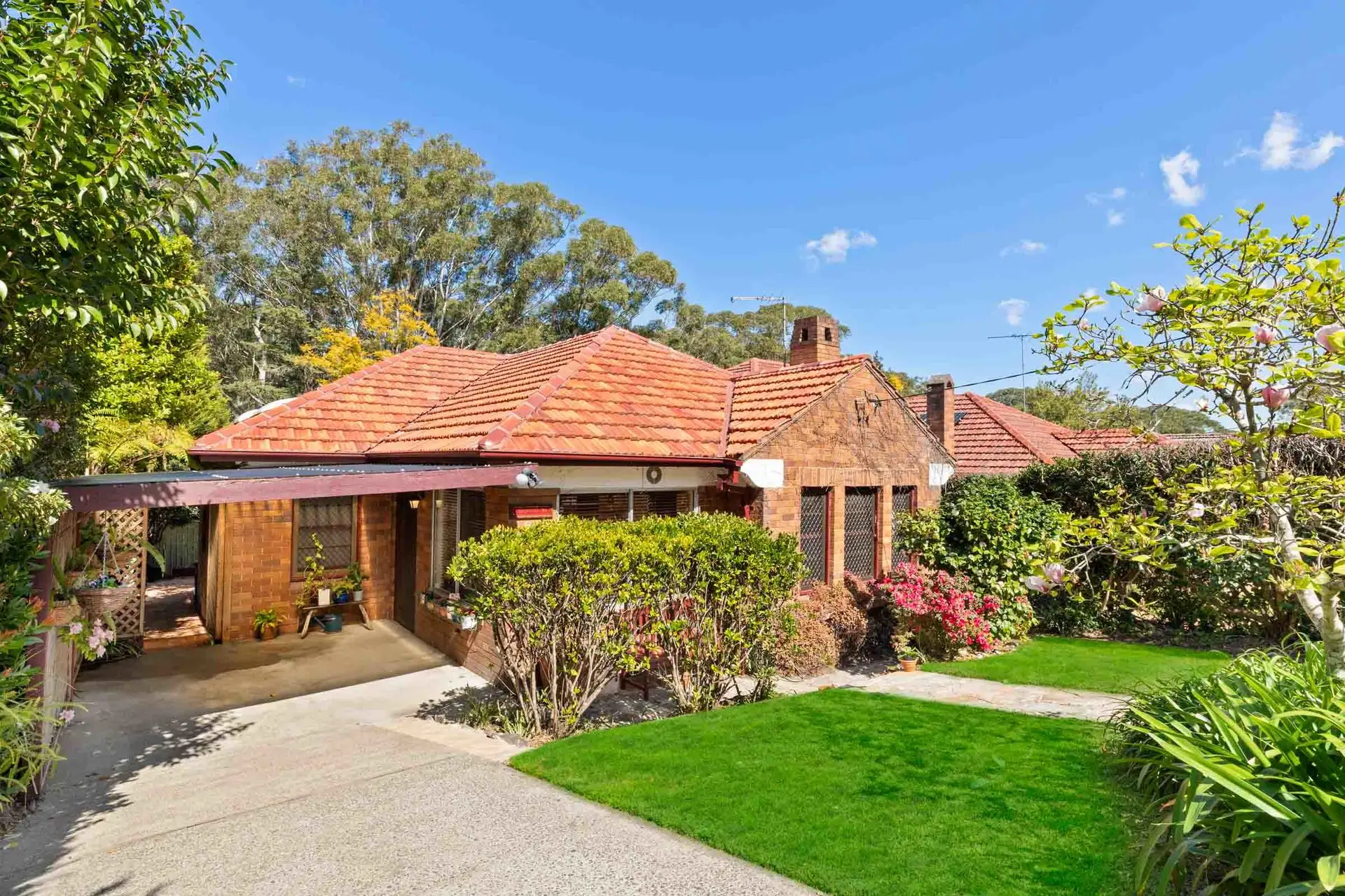 84 Centennial Avenue, Chatswood Sold by Shead Property - image 1