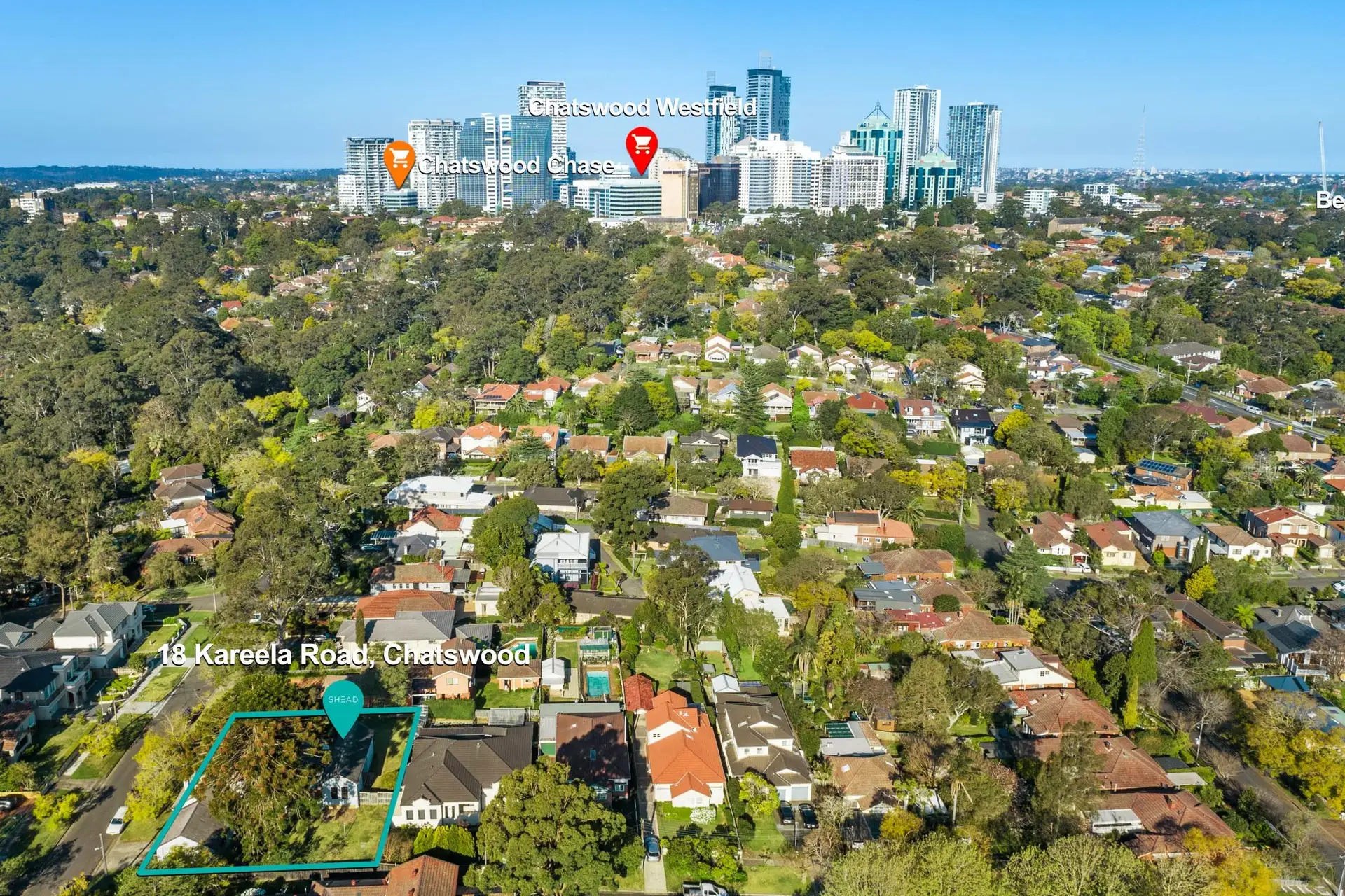 18 Kareela Road, Chatswood Sold by Shead Property - image 1