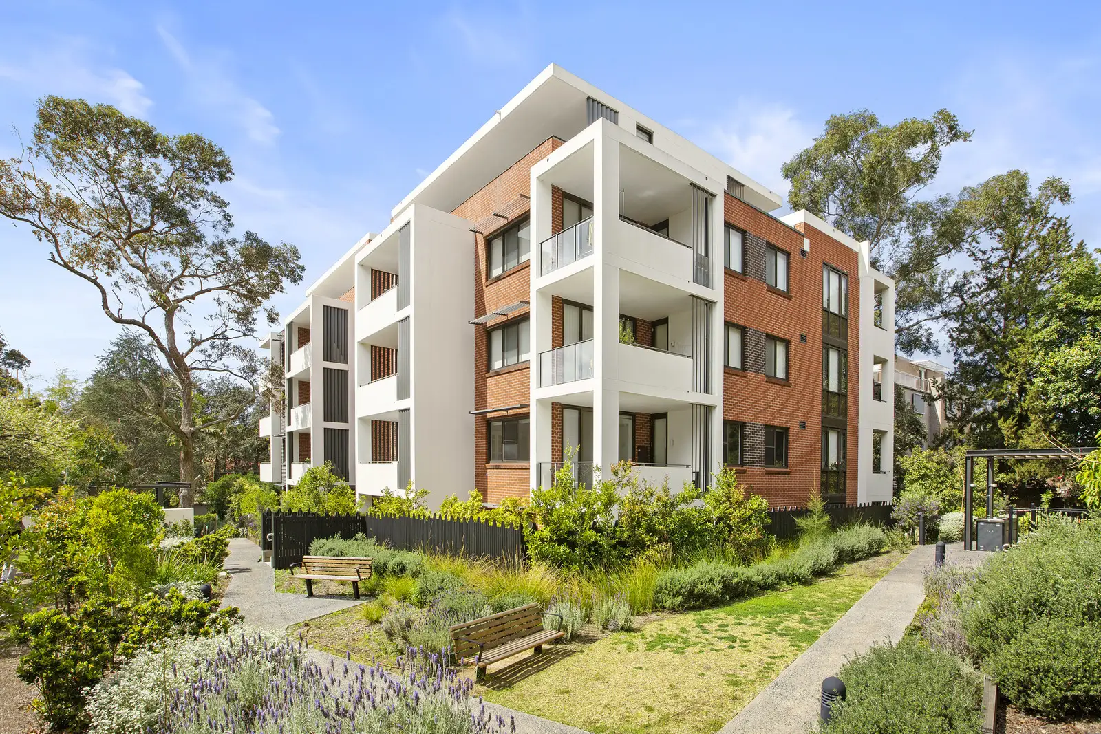 006/11 Victoria Street, Roseville Sold by Shead Property - image 1