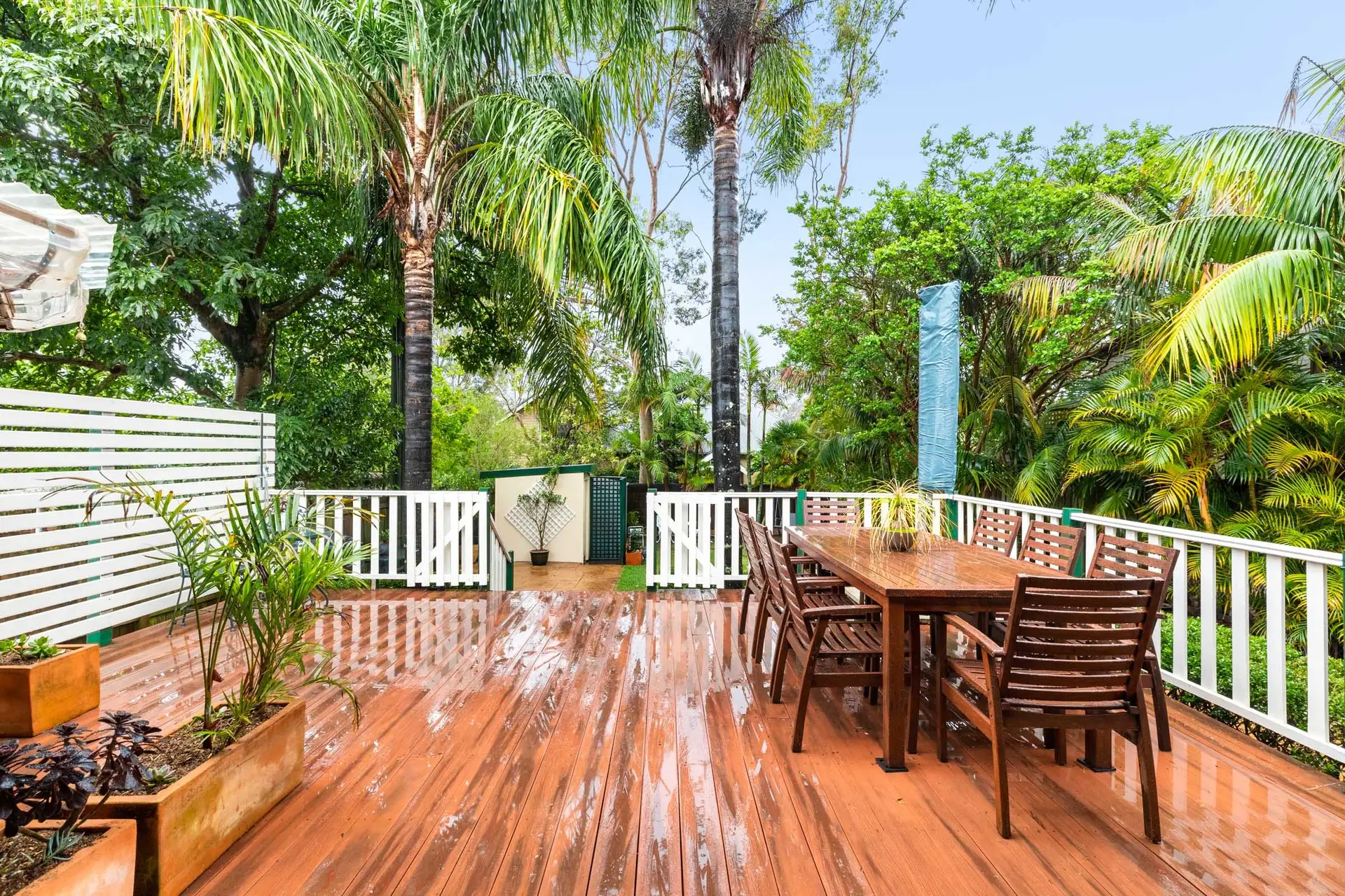 67 Fullers Road, Chatswood Sold by Shead Property - image 1