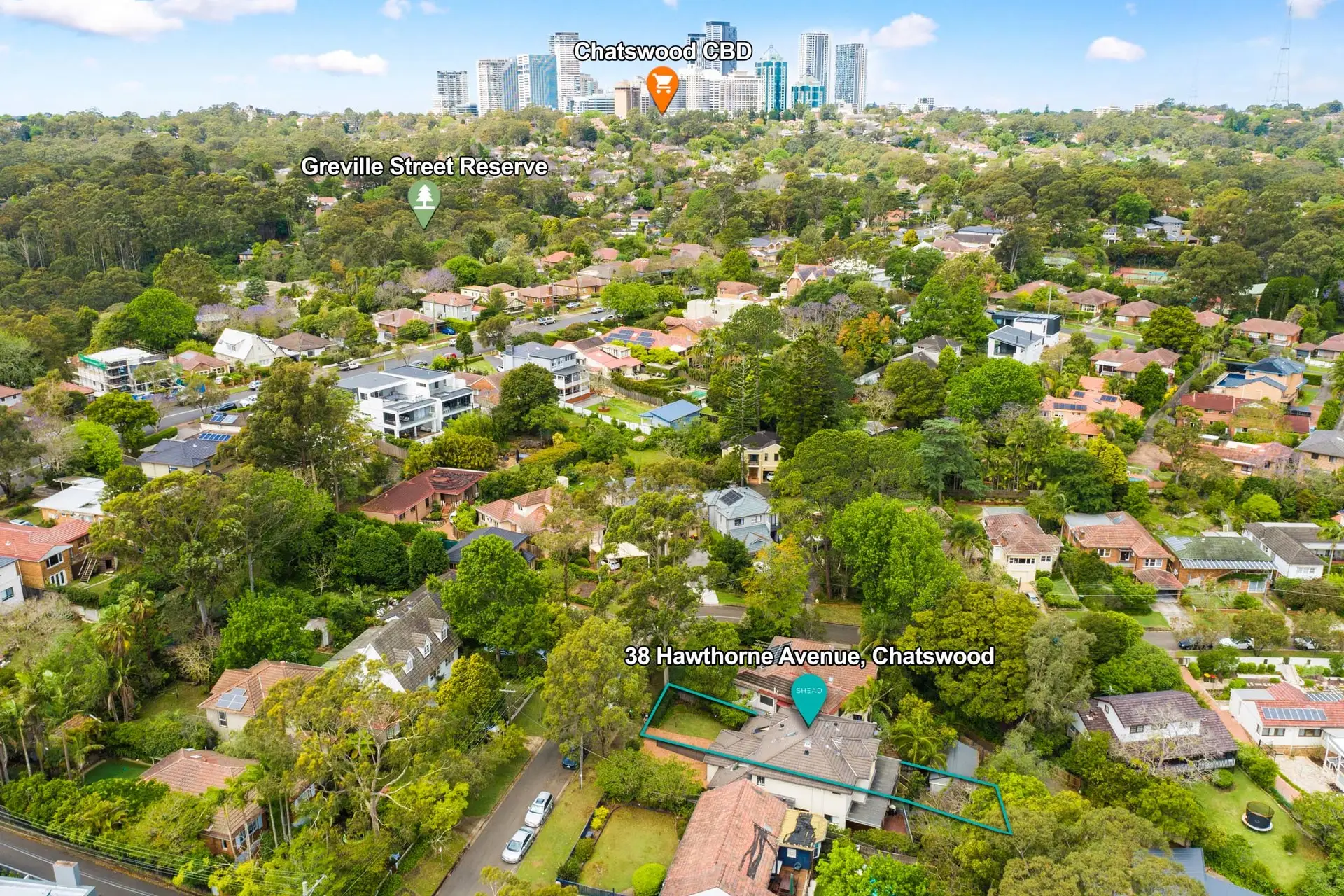 38 Hawthorne Avenue, Chatswood Sold by Shead Property - image 1