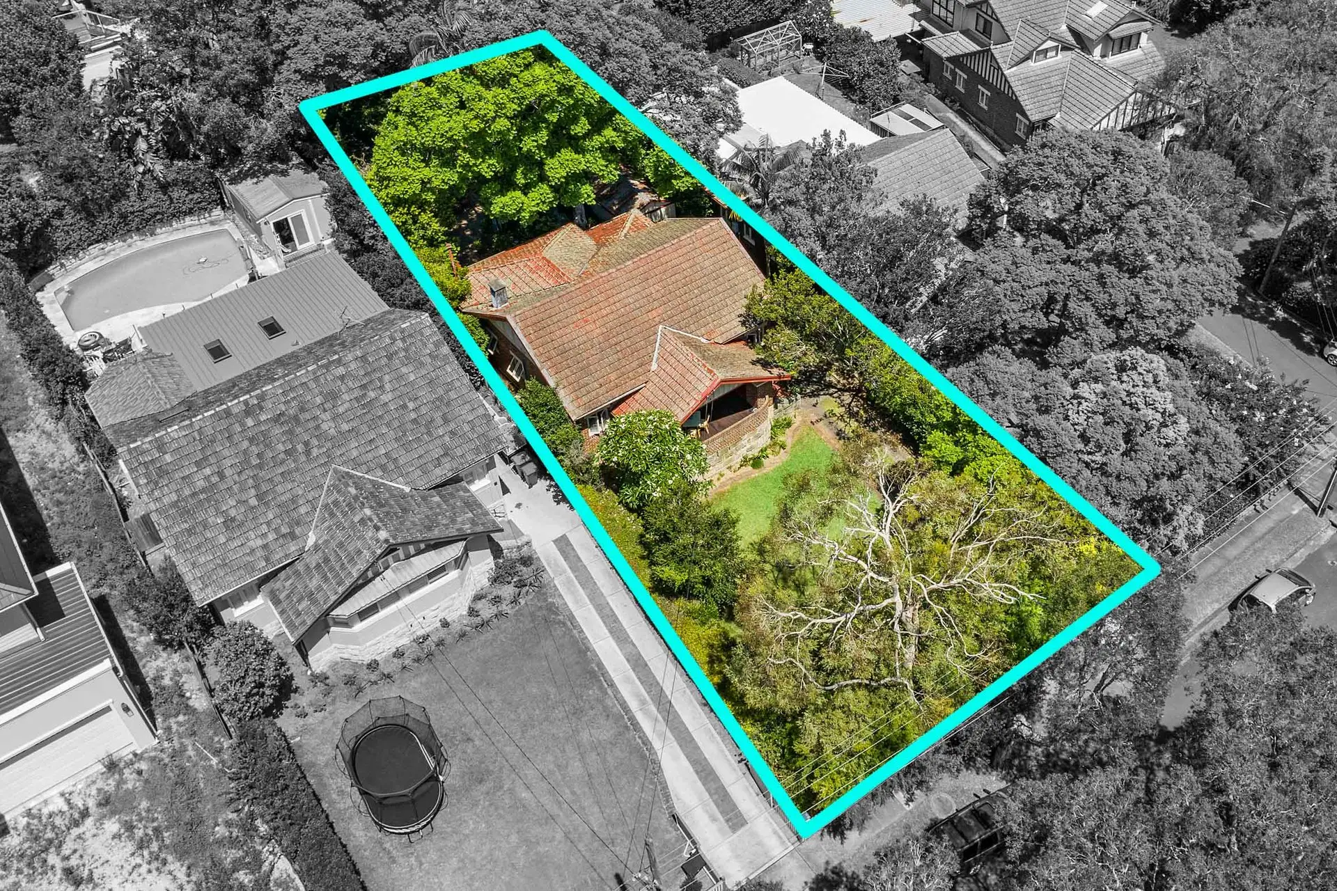 5 Macartney Avenue, Chatswood Sold by Shead Property - image 1