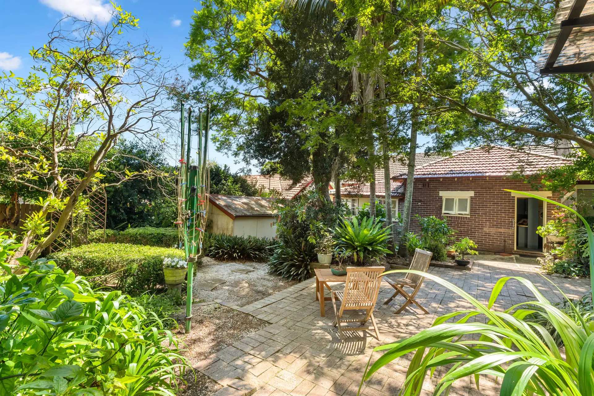 5 Macartney Avenue, Chatswood Sold by Shead Property - image 1