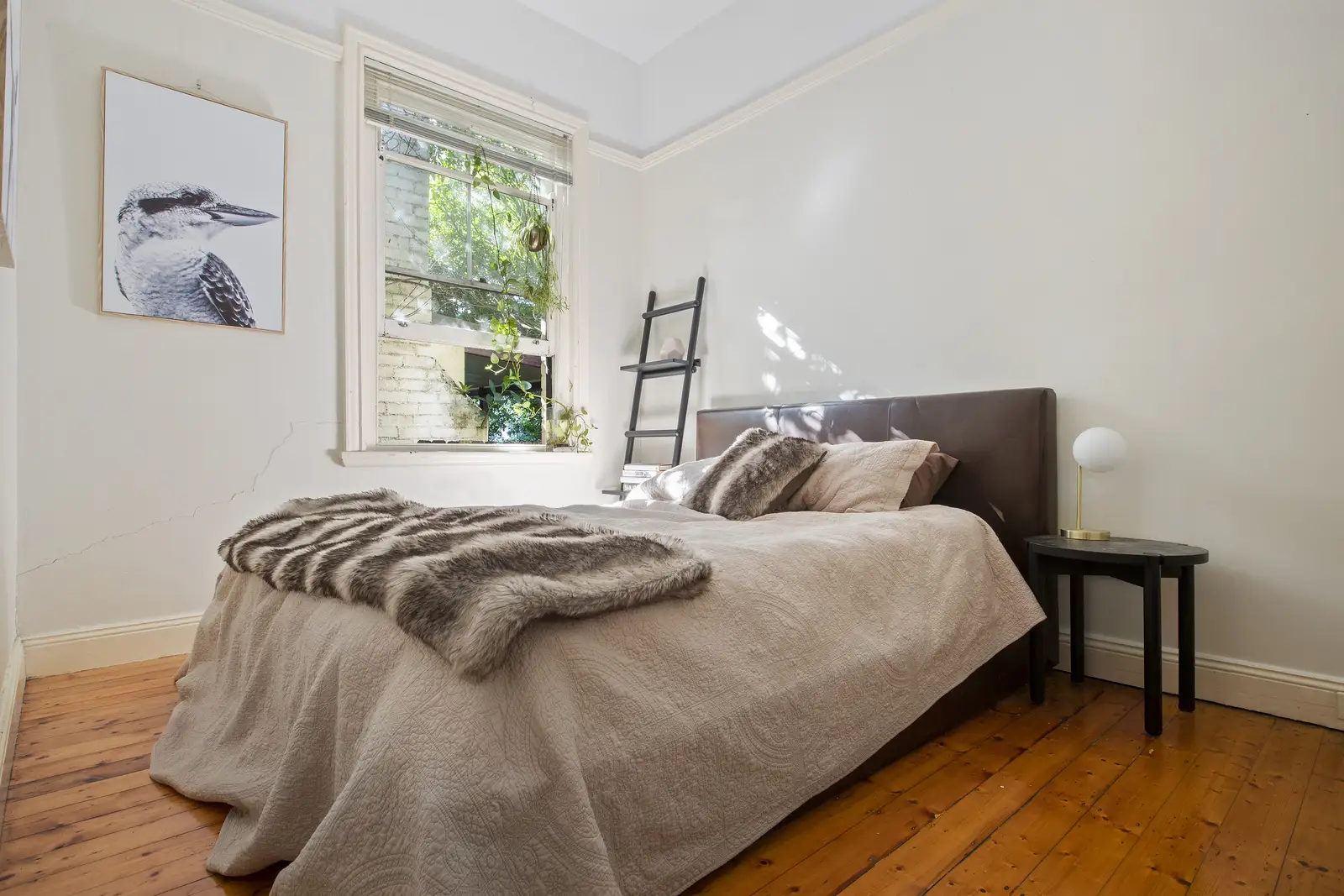 37 Atchison Street, Crows Nest Sold by Shead Property - image 1