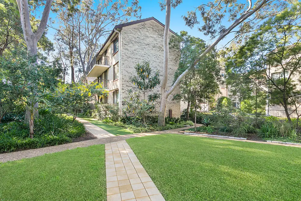 16/205 Waterloo Road, Marsfield Sold by Shead Property - image 1