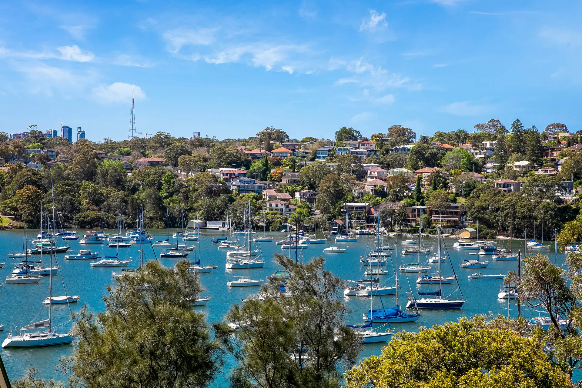 38 Lucretia Avenue, Longueville Sold by Shead Property - image 1