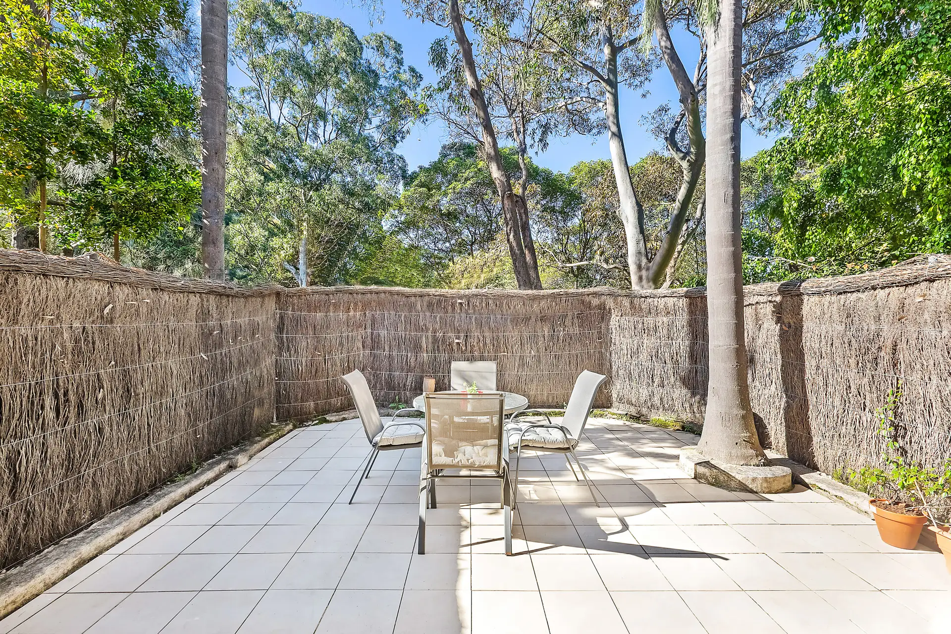 3/8 Jersey Road, Artarmon Sold by Shead Property - image 1