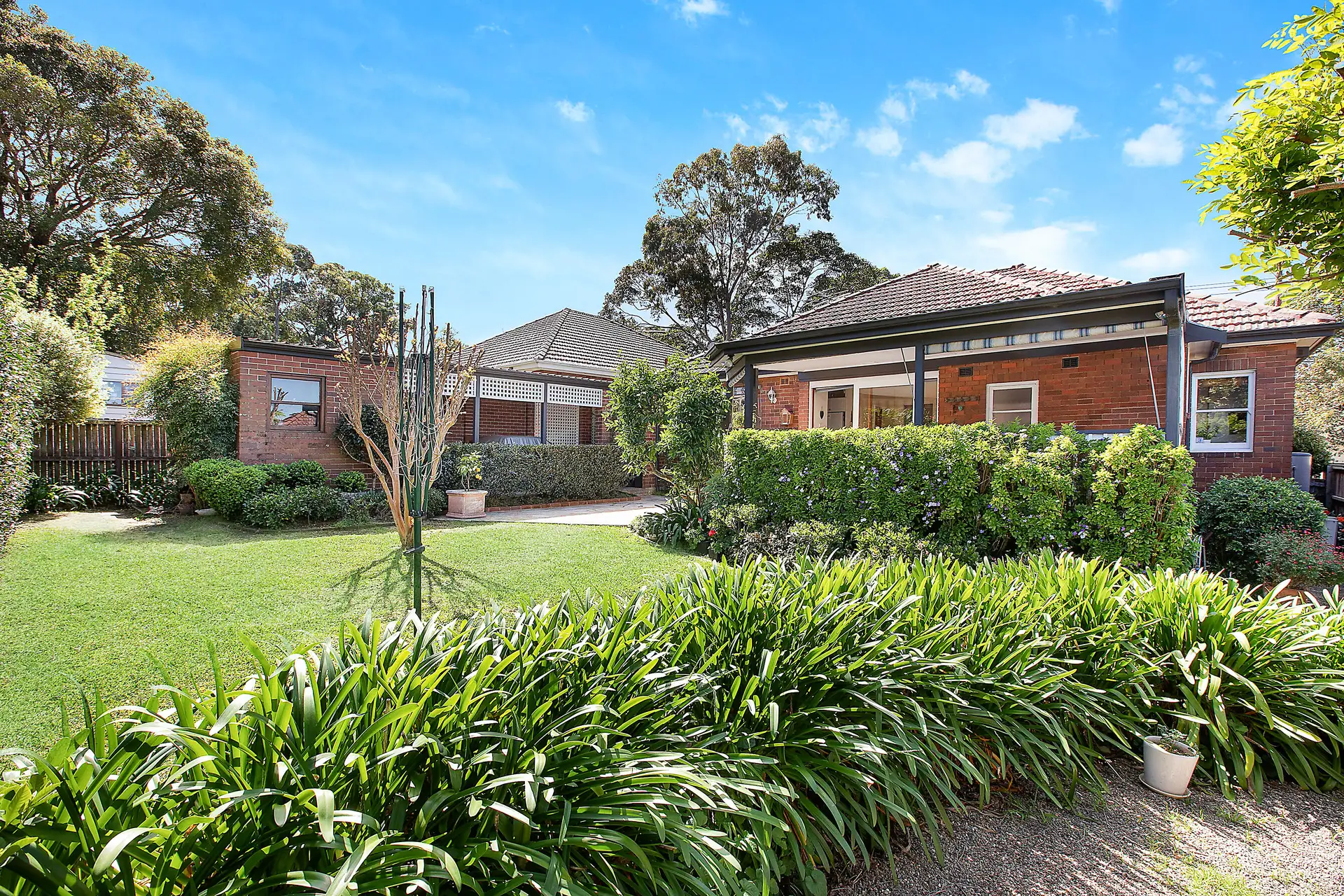 94 Greville Street, Chatswood Sold by Shead Property - image 1