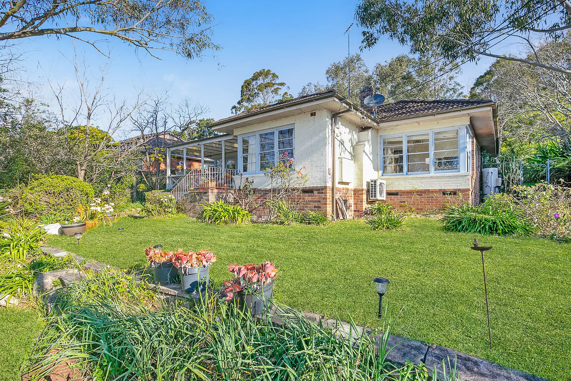44 Millwood Avenue, Chatswood Sold by Shead Property - image 1