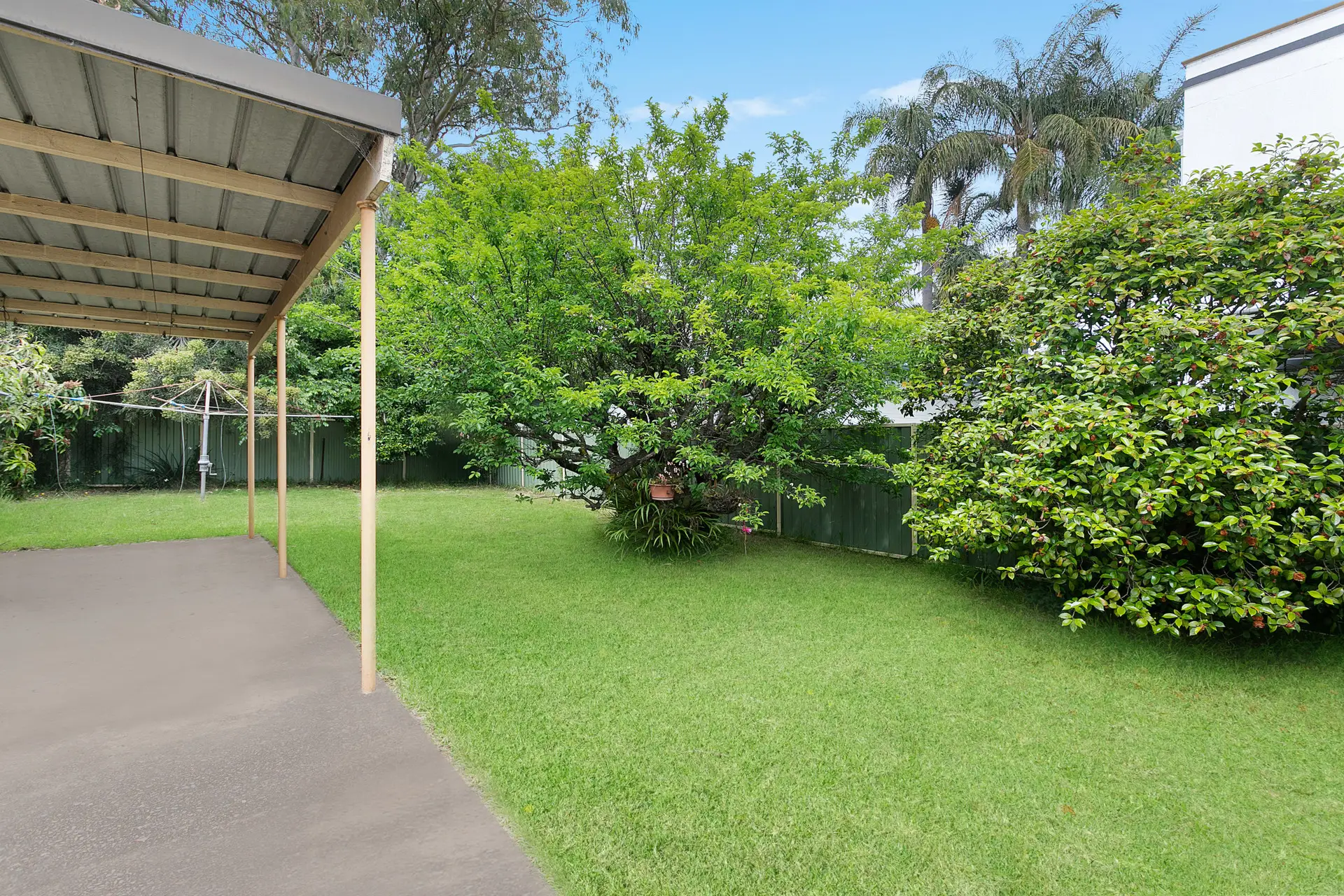 16 Argonne Street, North Strathfield Sold by Shead Property - image 1