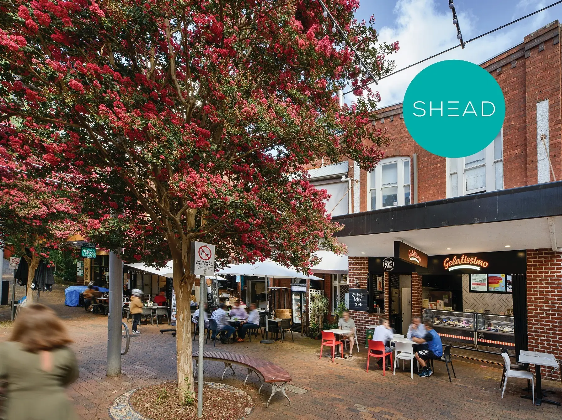 3-5 Wilkes Avenue, Artarmon Sold by Shead Property - image 1