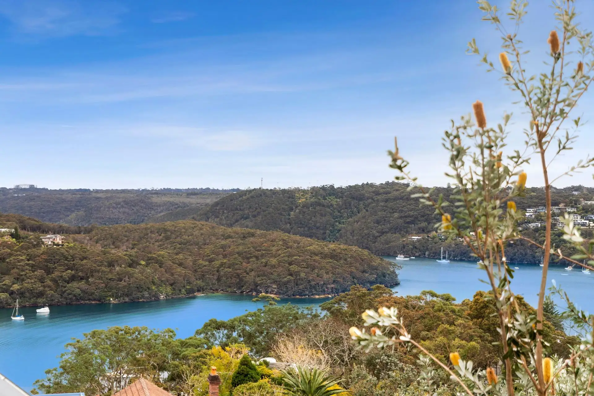 301 Edinburgh Road, Castlecrag Sold by Shead Property - image 1