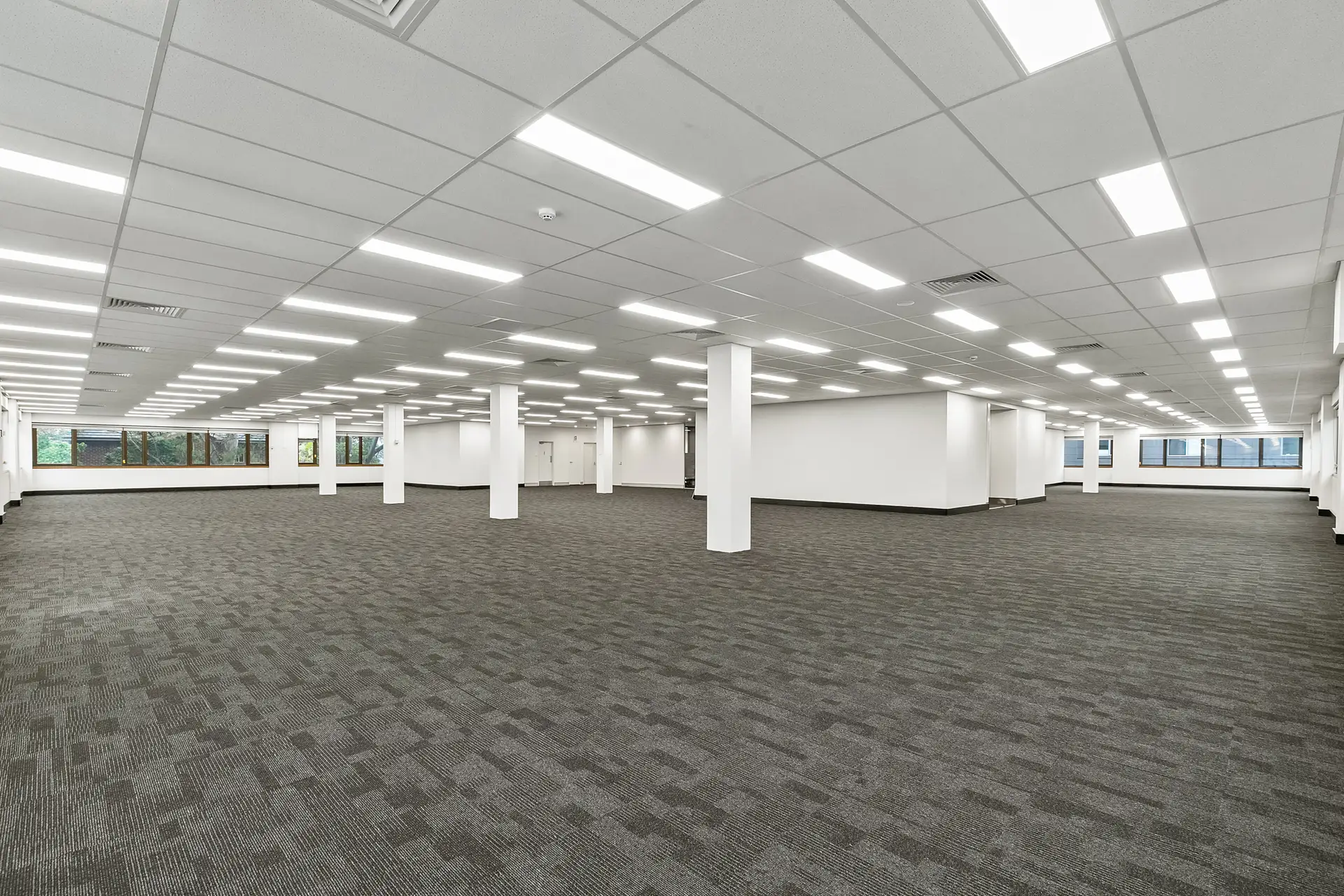 754 Pacific Highway, Chatswood For Lease by Shead Property - image 1
