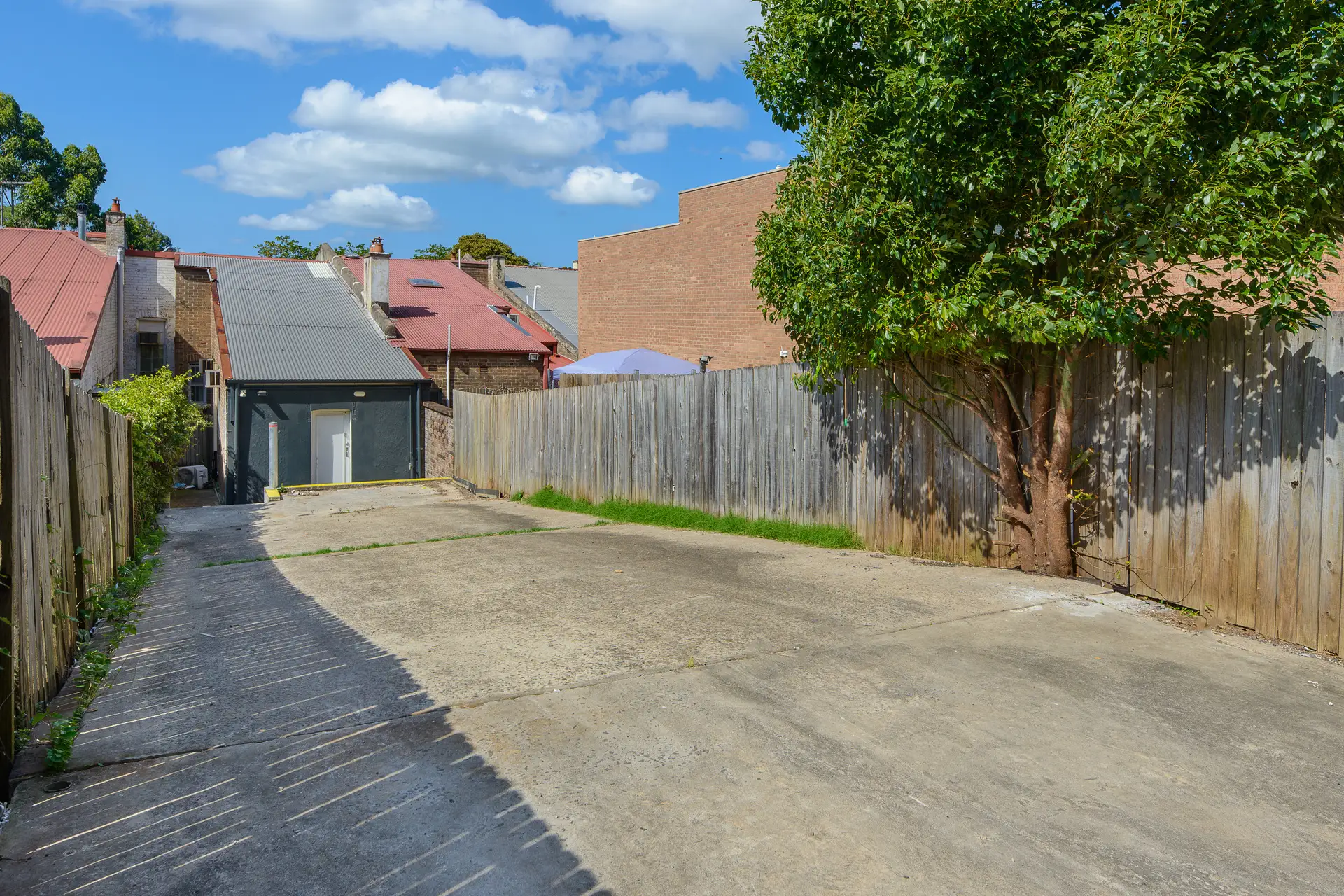 100 Hampden Road, Artarmon For Lease by Shead Property - image 1