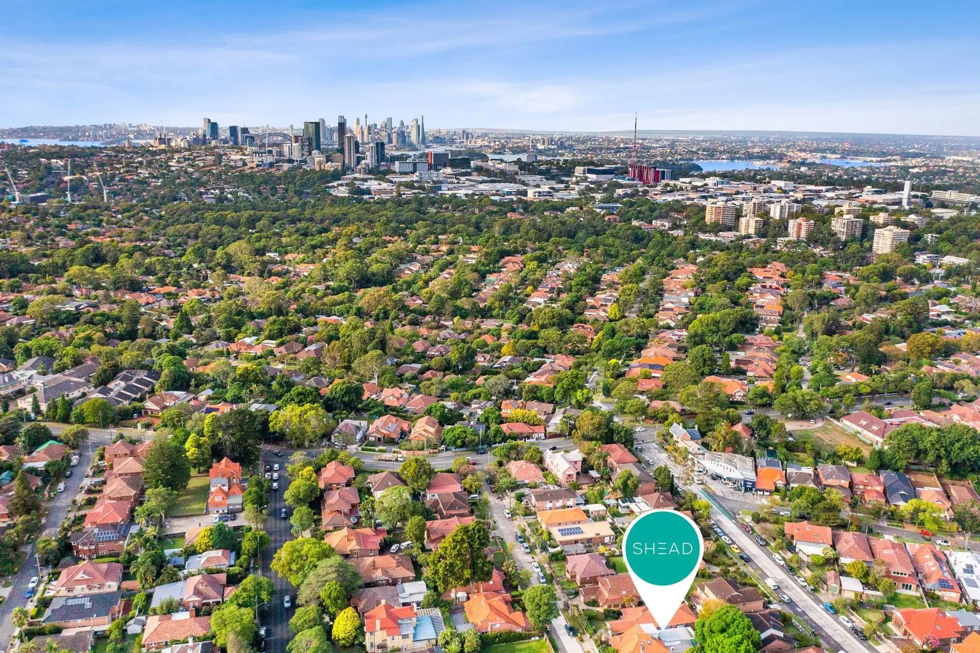 16 Claude Street, Chatswood Sold by Shead Property - image 1