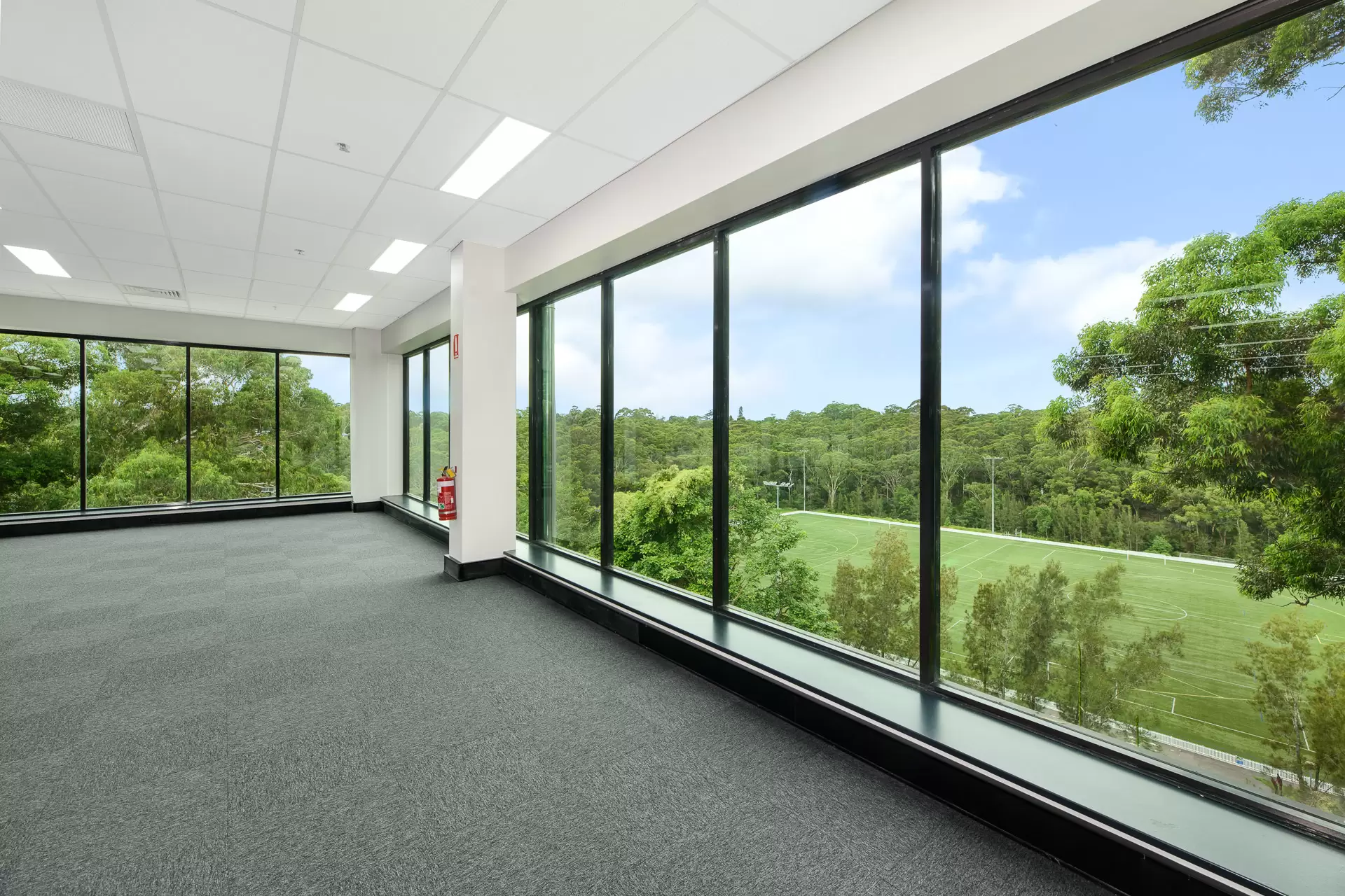 16 Mars Road, Lane Cove For Lease by Shead Property - image 1