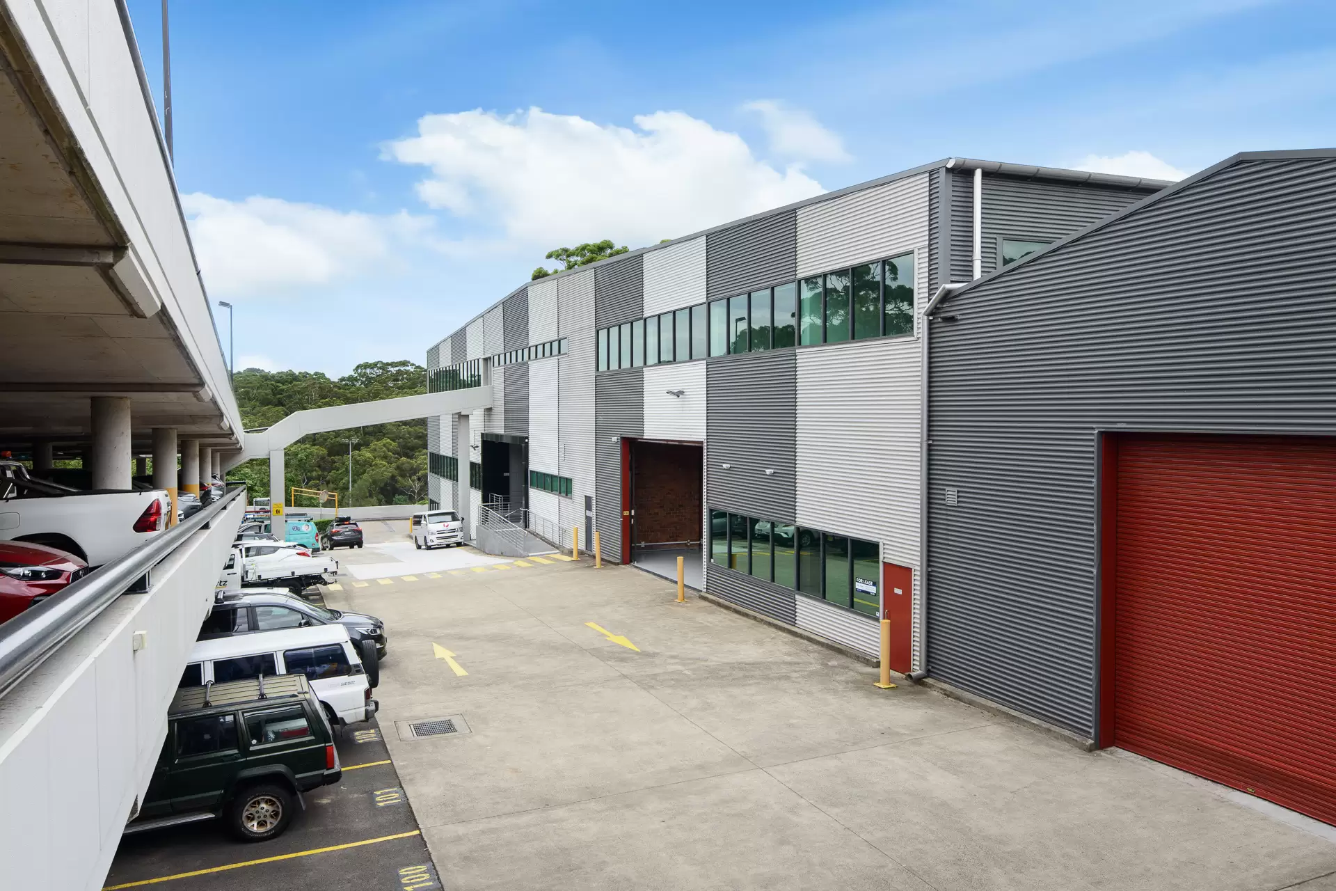 16 Mars Road, Lane Cove For Lease by Shead Property - image 1