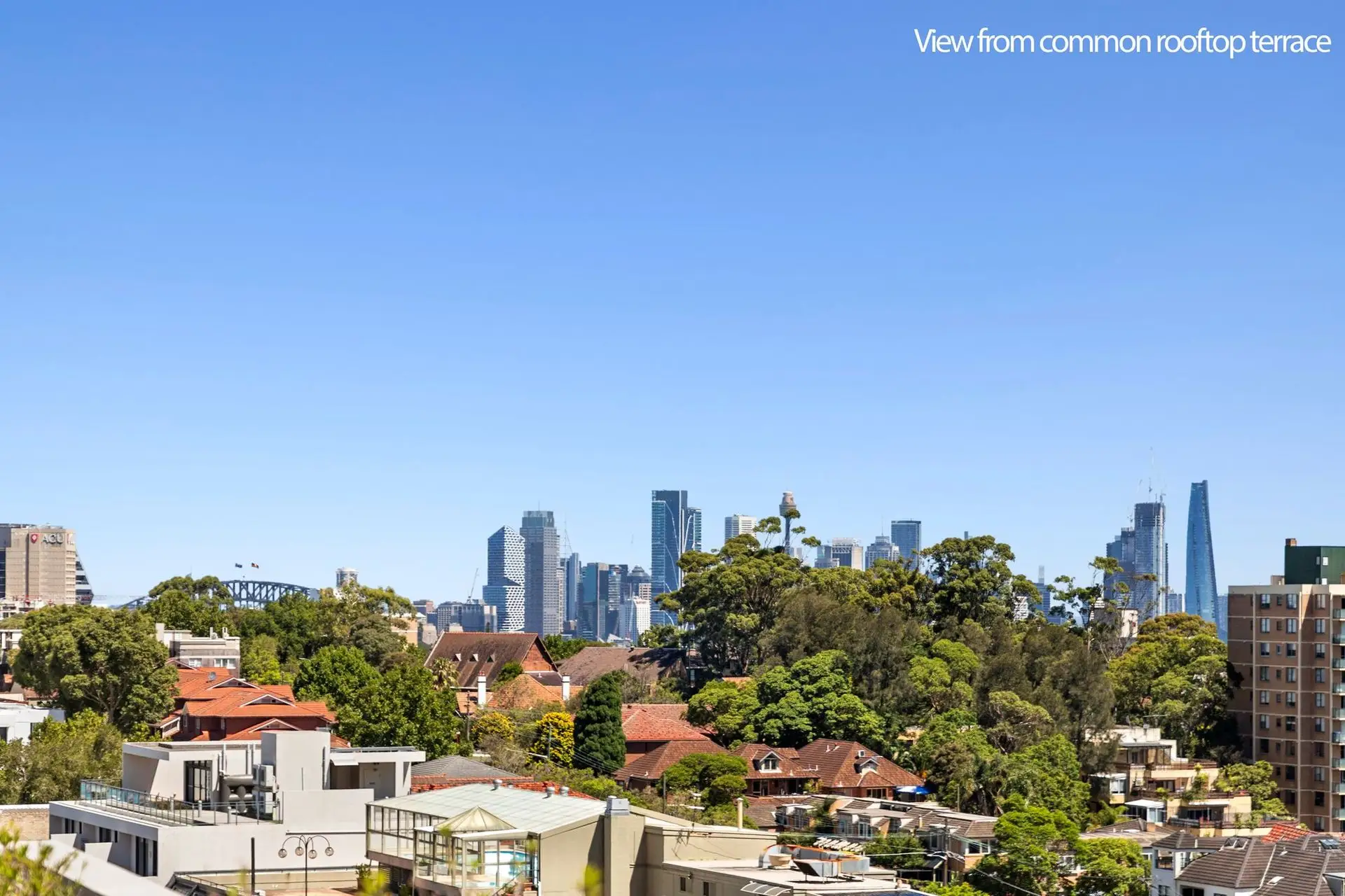 701/567 Pacific Highway, St Leonards Sold by Shead Property - image 1