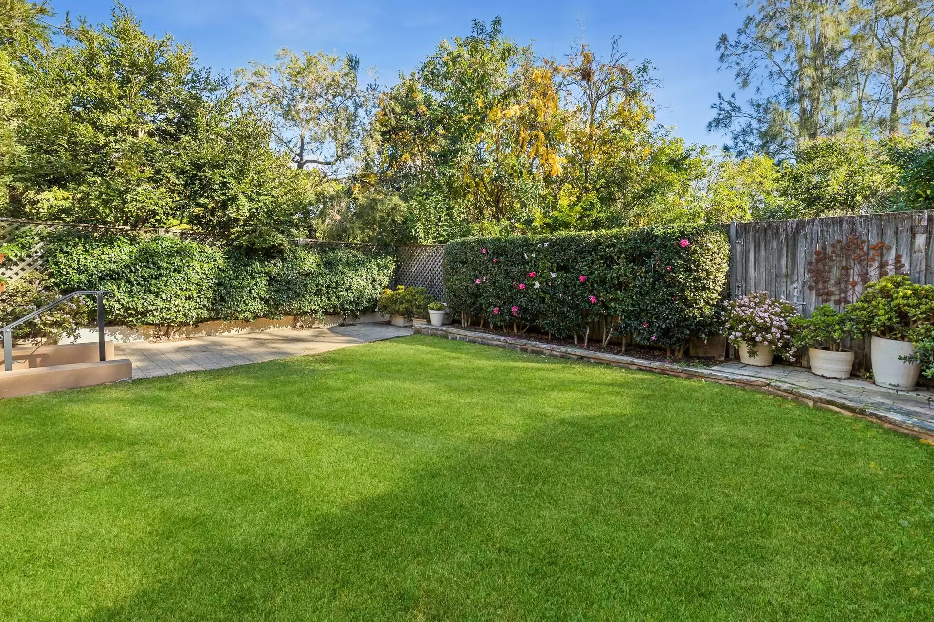 18A Greville Street, Chatswood Sold by Shead Property - image 1