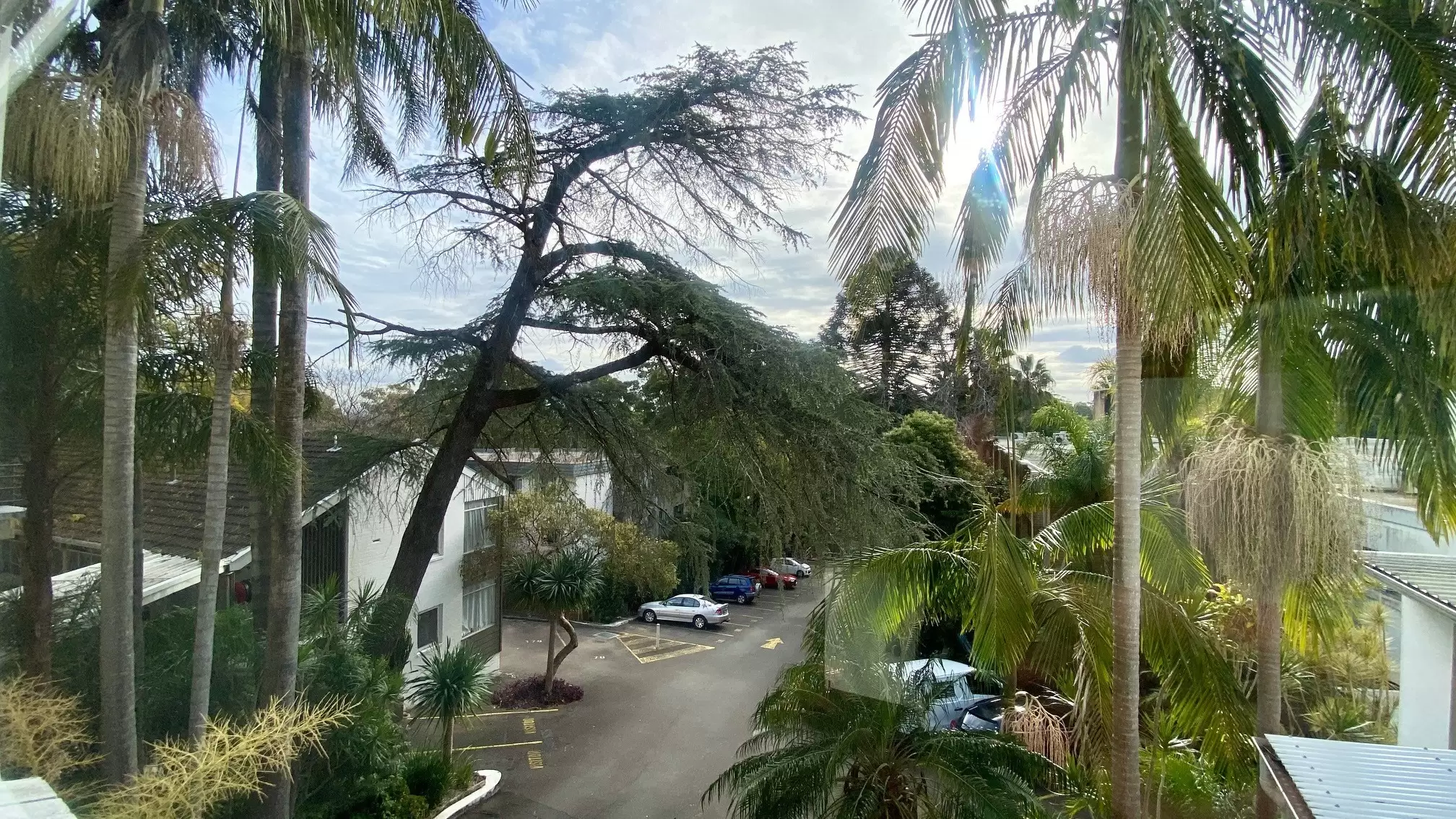 Lane Cove North Leased by Shead Property - image 1